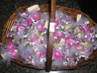 /album/galeria-de-fotos/imagem-200-jpg/